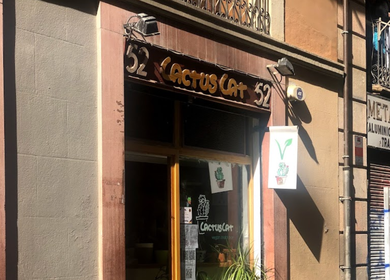 cactus-cat-bar